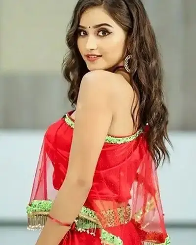 Call Girls Service Morshi
